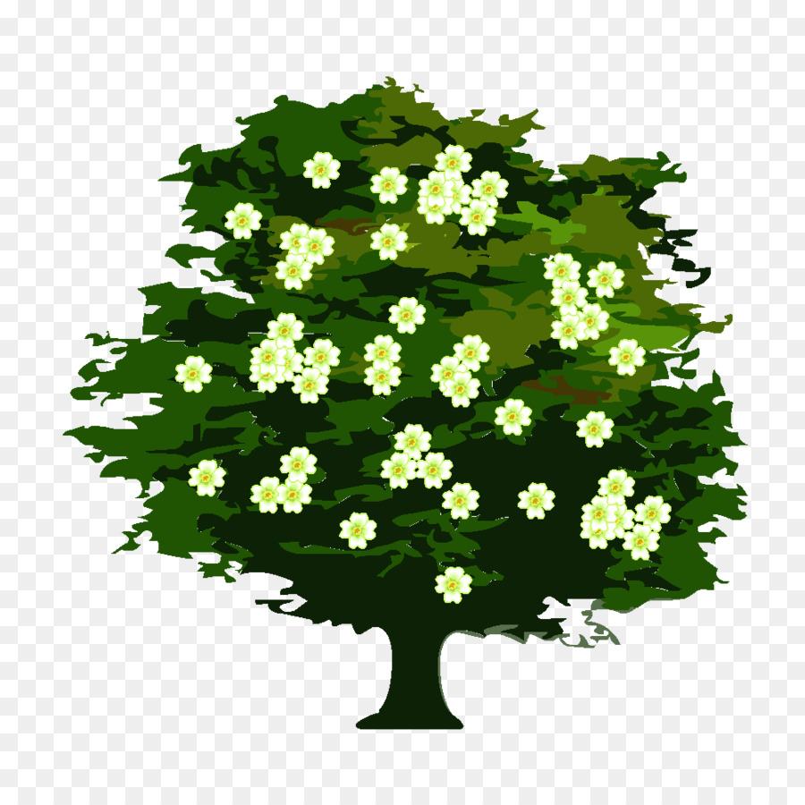 Baum Ersitzung Strauch Verjährung Viburnum - andere