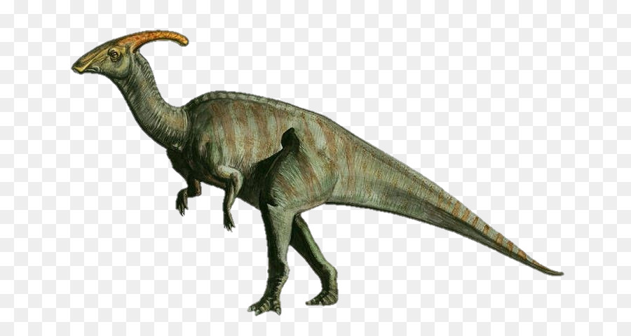 Parasaurolophus Triceratops Dinosaurier Brachiosaurus Velociraptor - Dinosaurier