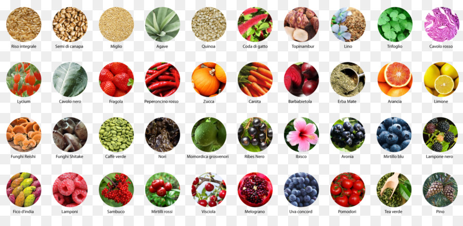 Tallone tabella di Colore Alimentare di Proteine - altri