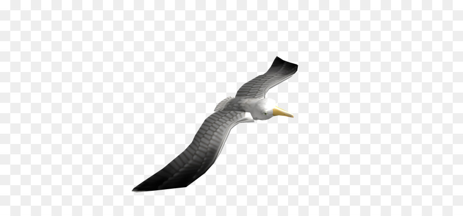 Eagle Bird Png Download 420420 Free Transparent Roblox - roblox the bird says code free roblox you can play online