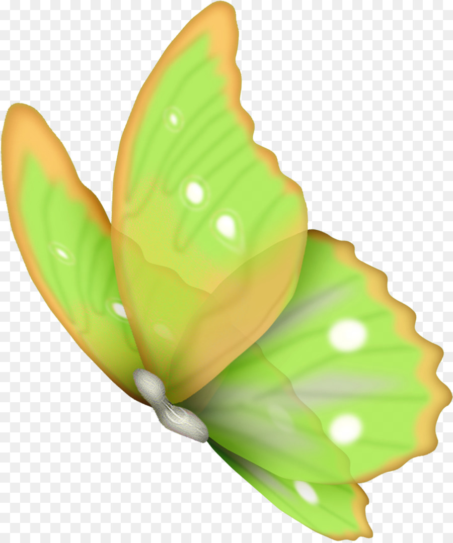 Butterfly Flower Clip Art - grüner Pfeffer