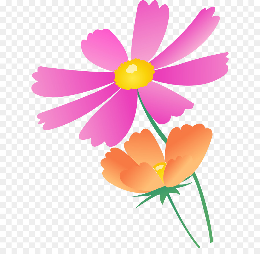 Fiore Di Colore Rosa Petalo - fiore