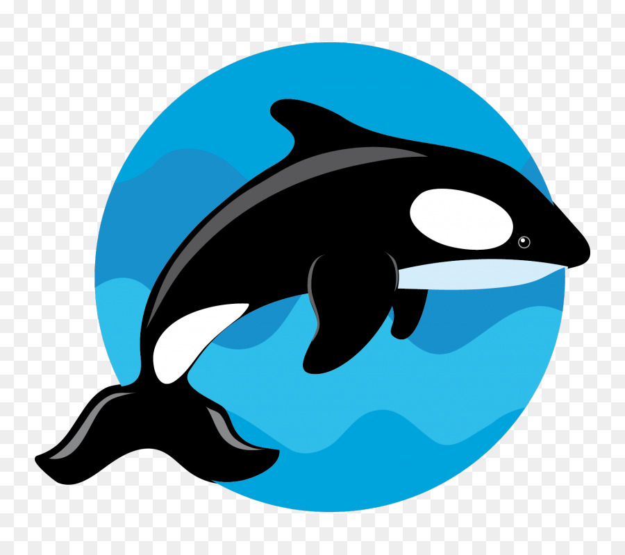 Chung cá heo con cá voi sát thủ cá heo Clip nghệ thuật - Cá voi