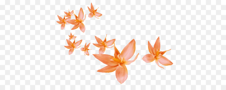 Cánh Hoa Lá Clip nghệ thuật - hoa