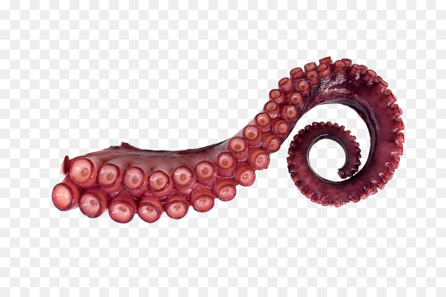 Giant Pacific octopus Tintenfisch Tentakel Stock Fotografie - andere