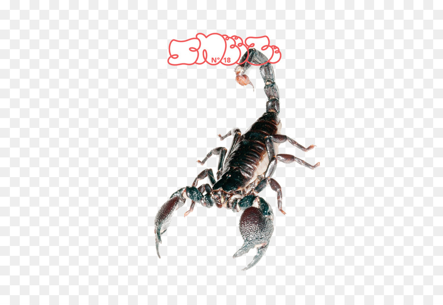 Scorpion Rivista STARNUTIRE Hypebeast - starnuto