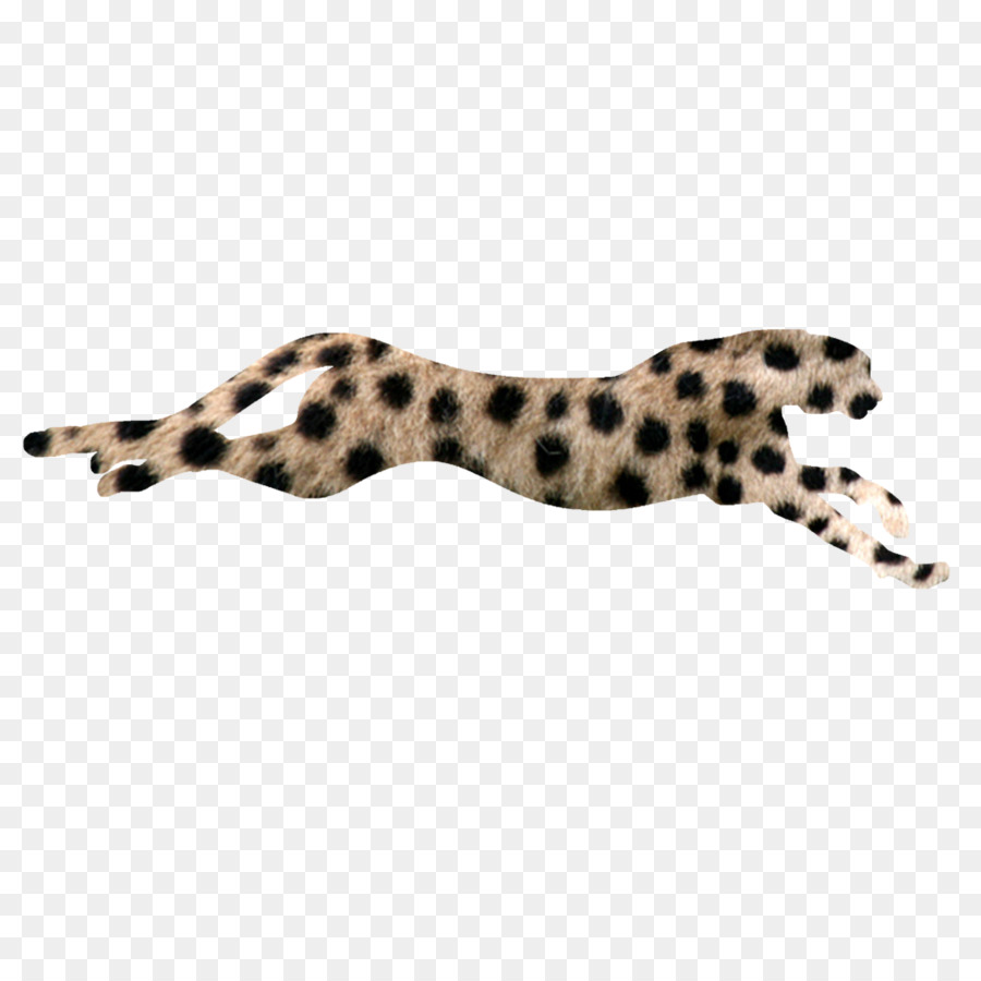 Cheetah-Flash-Zwei Welten Download 30 November - Gepard