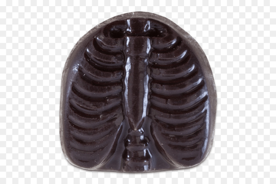 Anatomie Rippe Schokolade Knochen-Knopf - Schokolade