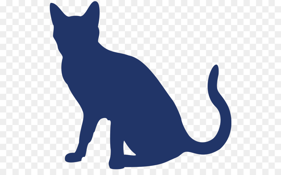Schnurrhaare Inländischen kurzhaarigen Katze, Schwarze Katze Hund - Katze