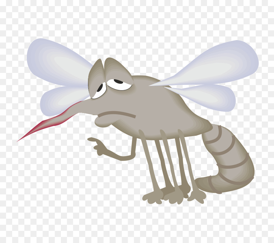 Mosquito Pollinator