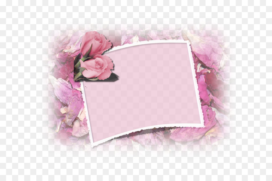Blütenblatt Bilderrahmen Pink M - Blume