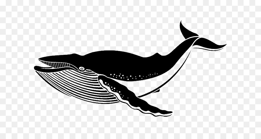 Wandtattoo-Aufkleber-Blue whale - Wal