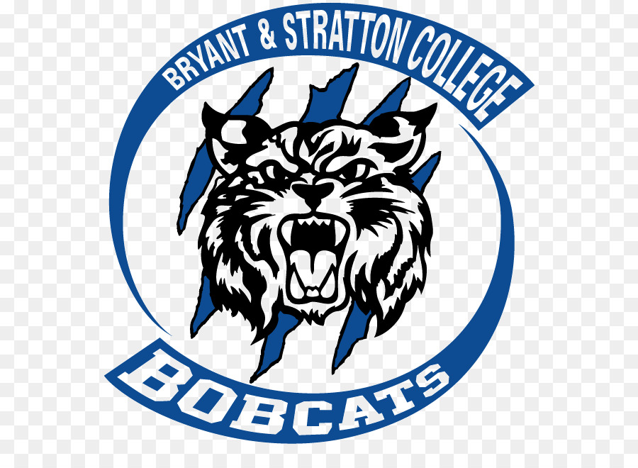 Bryant e università di Stratton Richard Bland College dell'università di Comunità della Contea di Baltimora Harford Community College College Louisburg - baseball