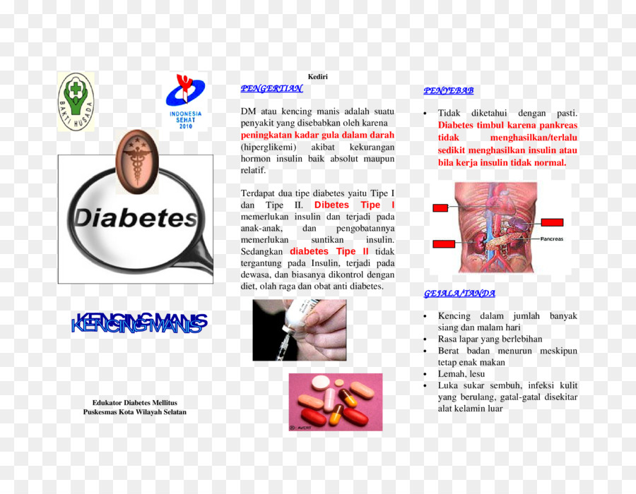 Loại bệnh tiểu đường 2 Insulin đường huyết Phổi - tờ rơi