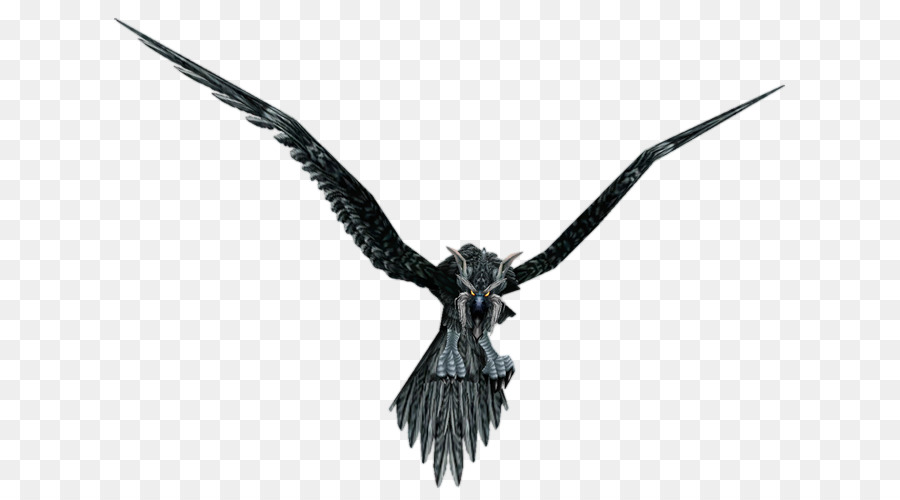 Uccello Corvo corvo imperiale World of Warcraft Wowpedia - uccello