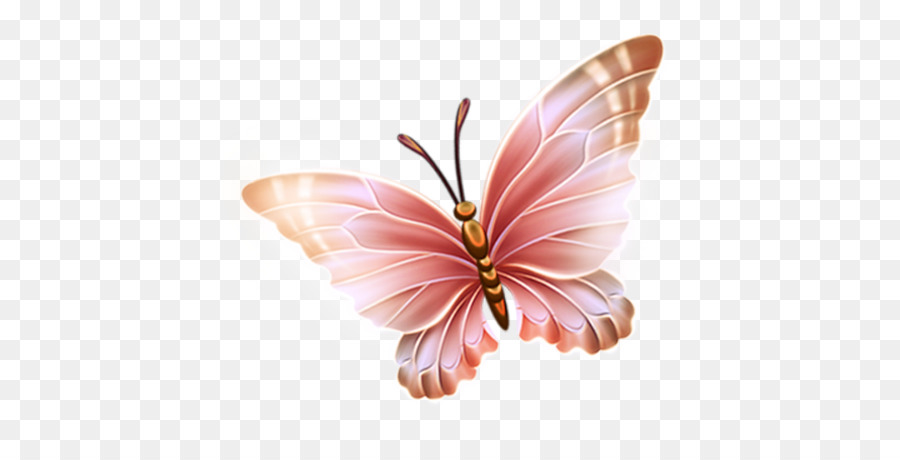 Giấy Bướm Clip nghệ thuật - bướm