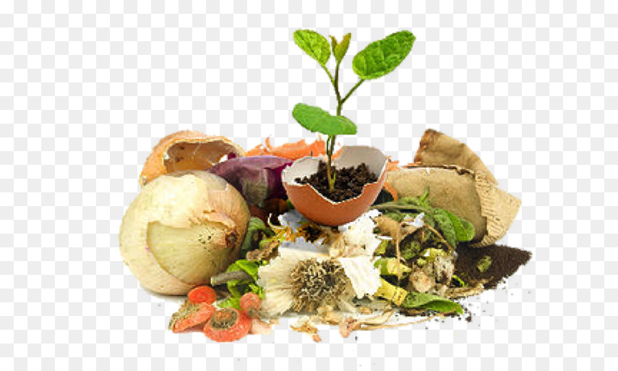 Bio Lebensmittel Essen Abfall Kompost - andere