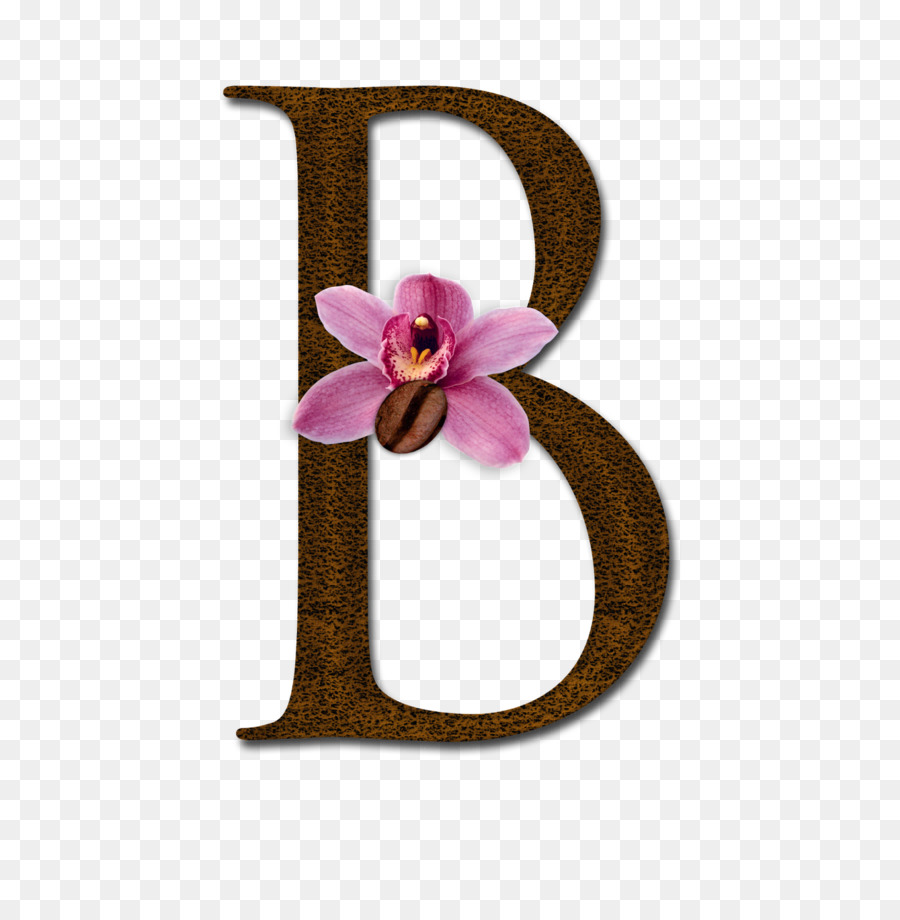 Alphabet Buchstaben Ch Ich - B