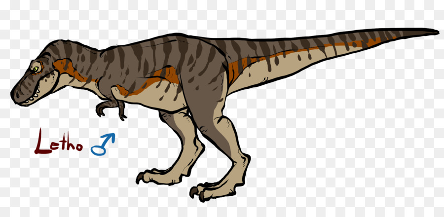 Tyrannosaurus Velociraptor terrestrische tierclip-Kunst - Tyrannosaurus
