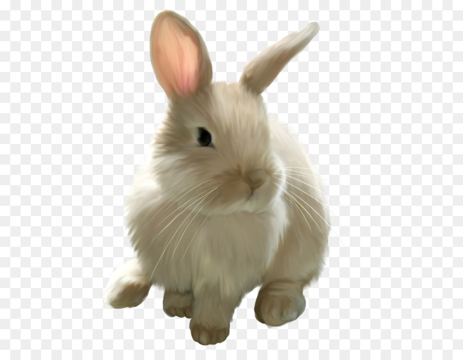 Osterhase Hase clipart - Kaninchen