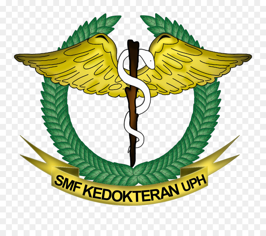 Universität Pelita Harapan Medical school student Association, department of Student Vorstand Der Christian University of Indonesia - andere