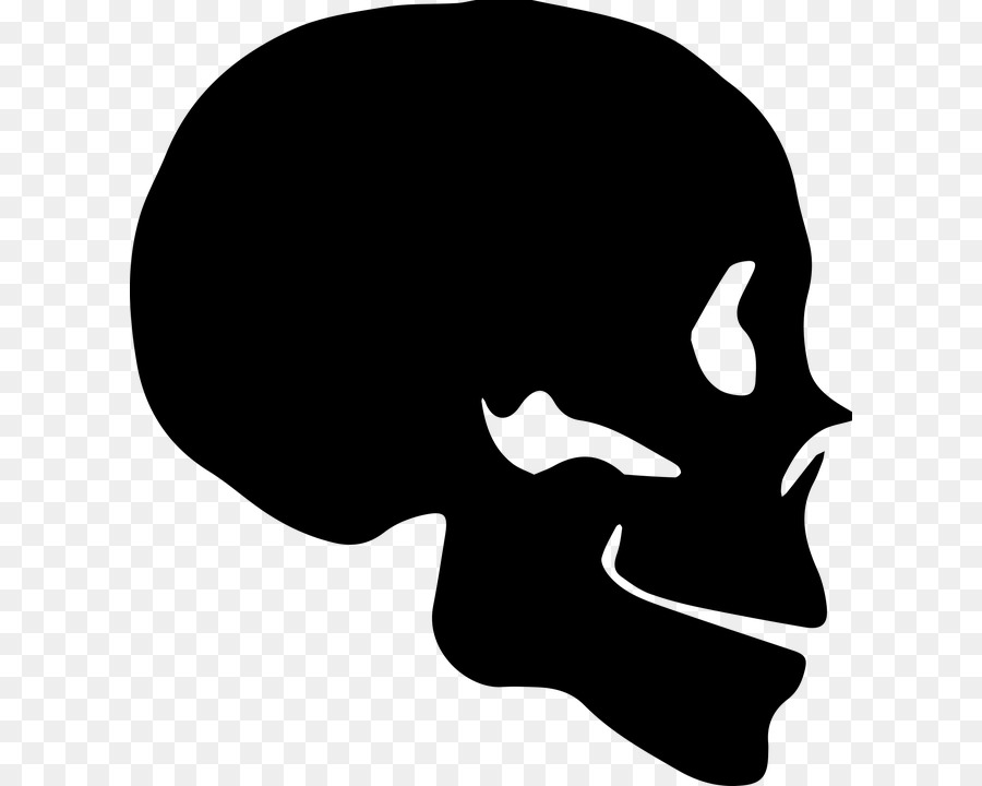 Schädel Silhouette Knochen Menschliches Skelett - Schädel