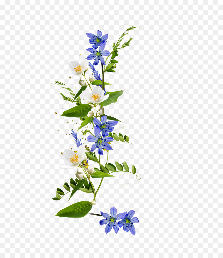 Schnittblumen, Florale design clipart - Blume