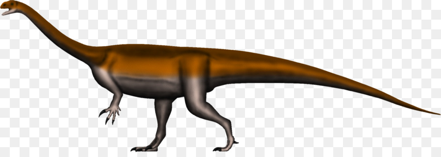 Glacialisaurus Riojasaurus Massospondylus Dinosauro Coloradisaurus - Dinosauro