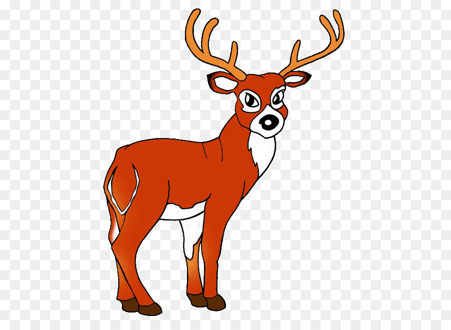 Elch White-tailed deer Clip-art - Rotwild