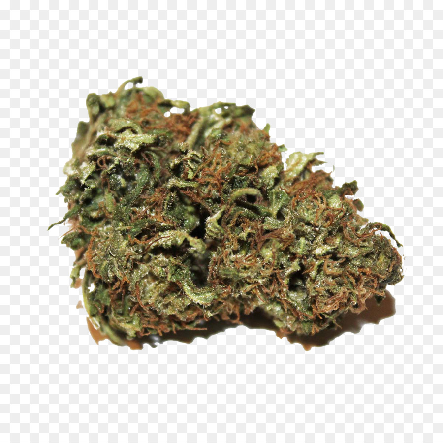 Kush Cannabis sativa Canapa olio di Cannabidiolo - canapa