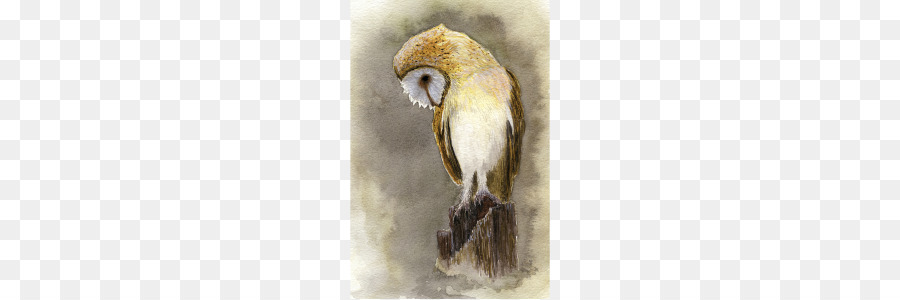 Gufo dipinto ad Acquerello, Uccello d'Arte - gufo