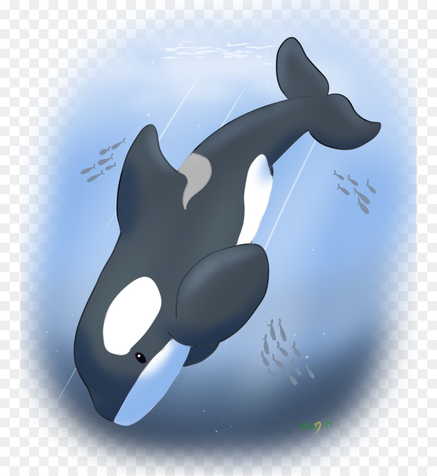 Delfin-Mörder-Wal-Marine-Biologie-Technologie - Delphin