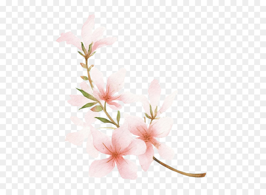 Blossom Zeichnung Pfirsich-Aquarell - Pfirsich