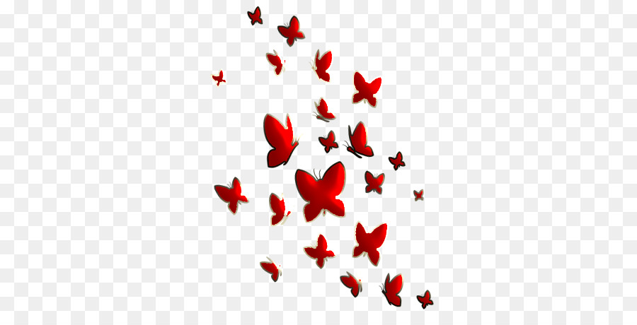 Farfalla Disegno Bianco Nero - farfalla