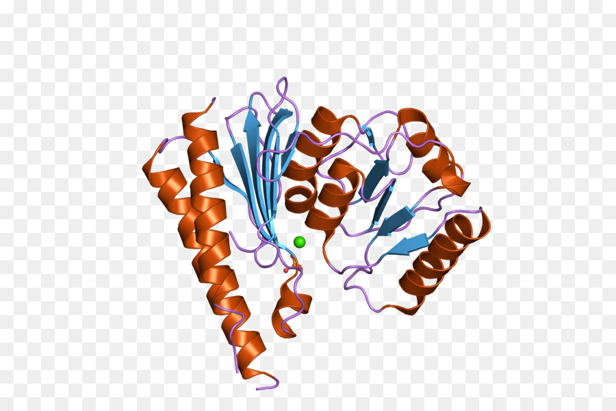 Inositolo monophosphatase 2 Cibo, Clip art - altri