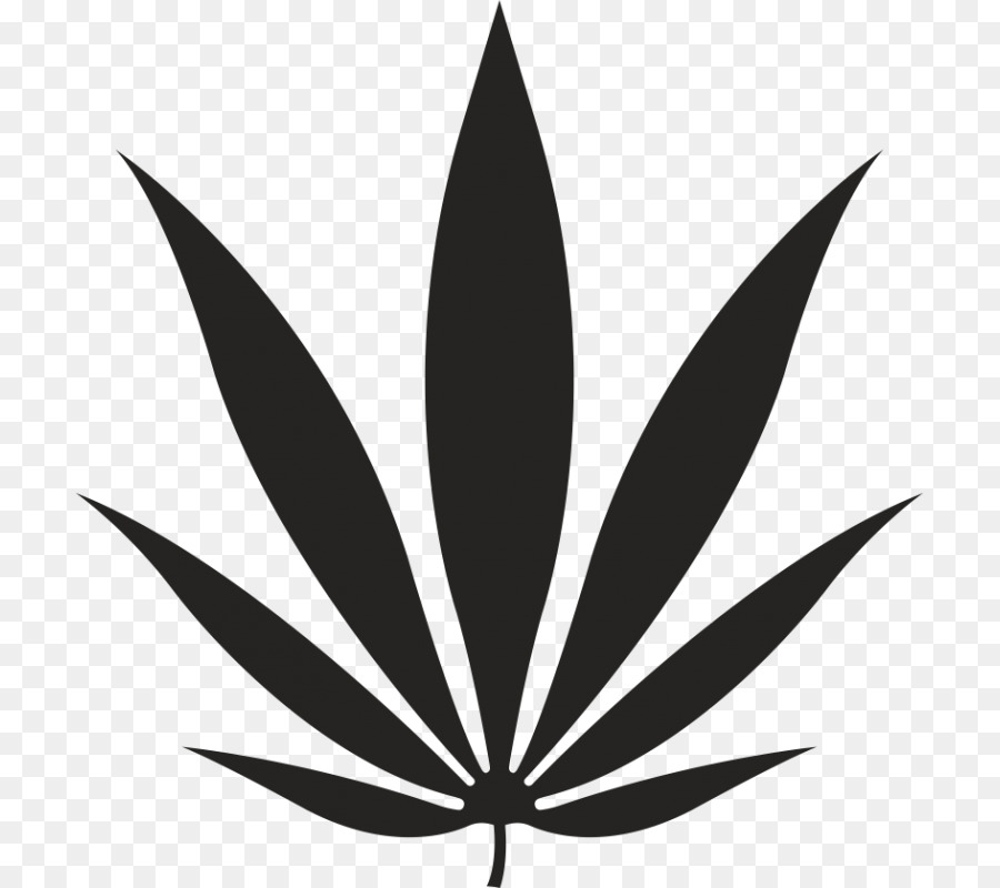 Foglia Di Carta Cannabis Adesivo Di Canapa - foglia