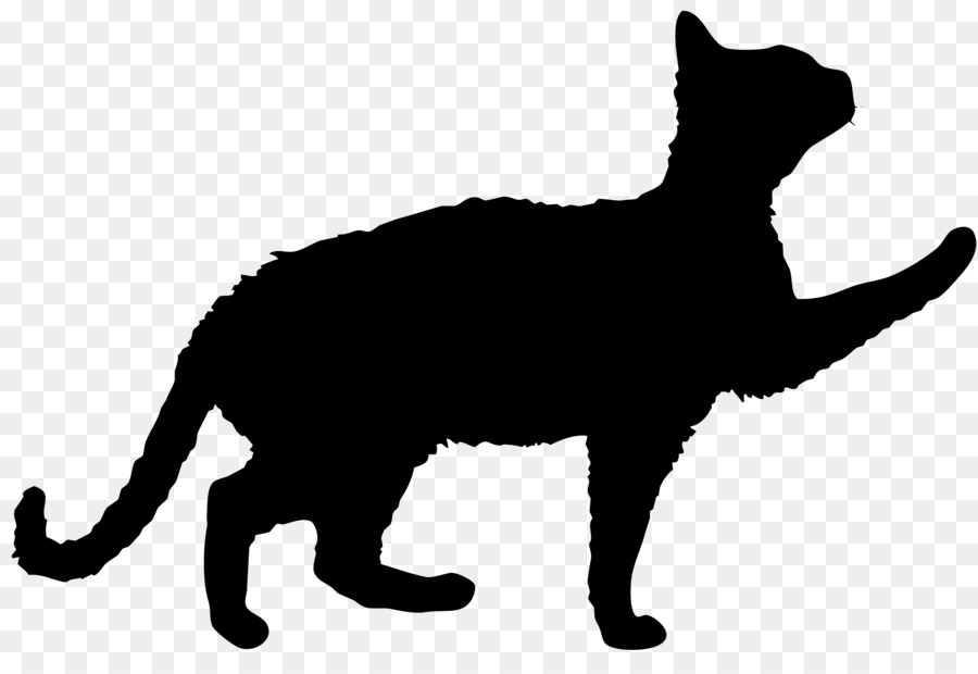 Domestico gatto pelo corto Cucciolo Stencil gatto Nero - gatto