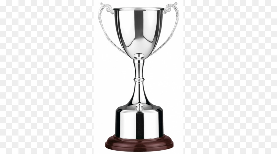 Cricket World Cup Trophy Award - Trophäe