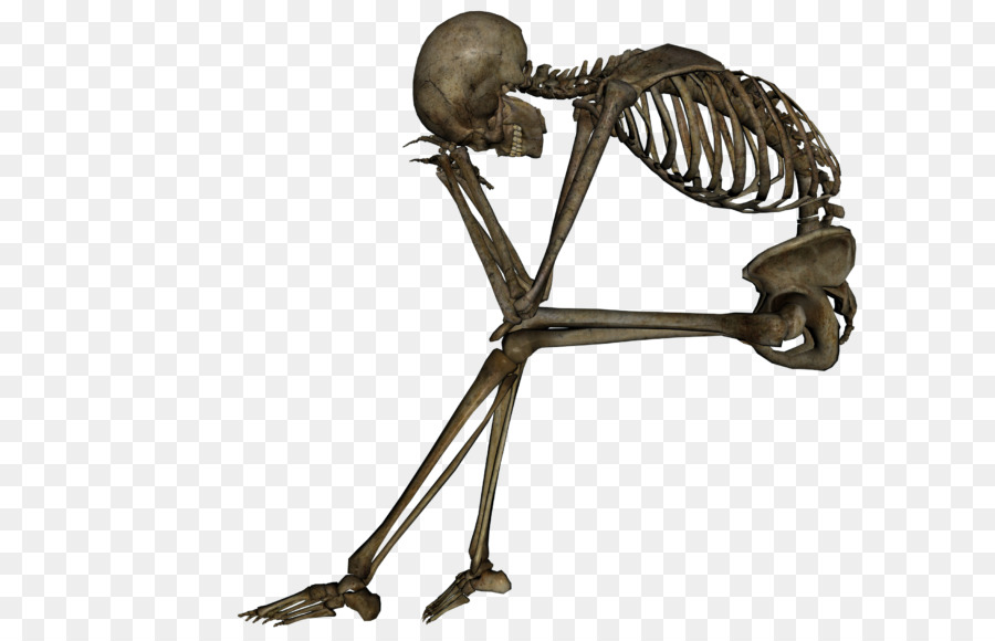 Cranio, scheletro Umano Morte Osso - cranio