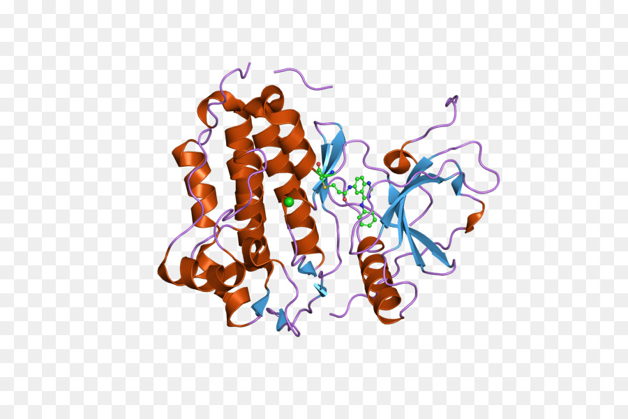 Epidermalen Wachstumsfaktor-Rezeptor-Tyrosin-kinase - andere