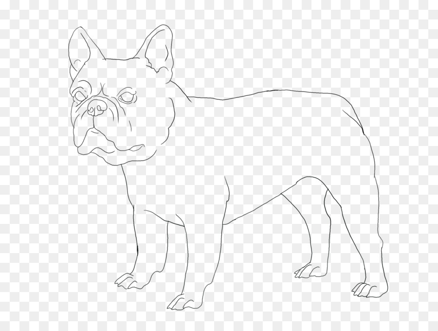 Bulldog francese Cucciolo di Cane di razza Non gruppo sportivo - cucciolo