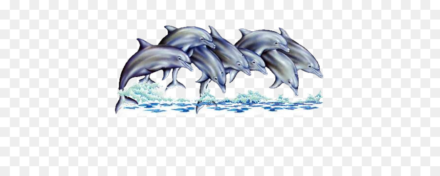Dolphin Tử của Pháp động Vật - Cá heo
