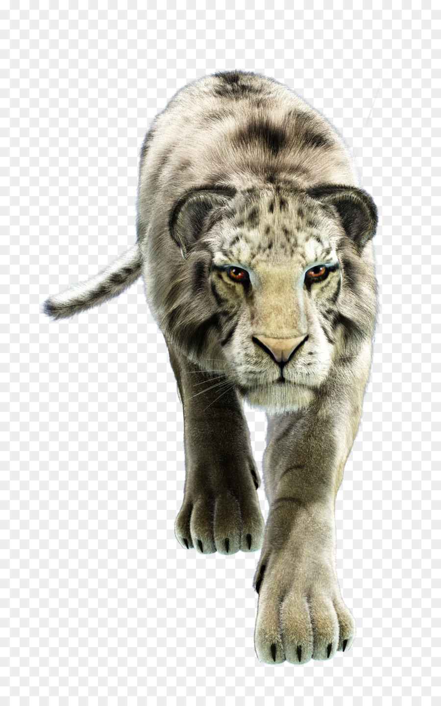 Con hổ trắng Râu con Ngựa hoang Dã - con hổ