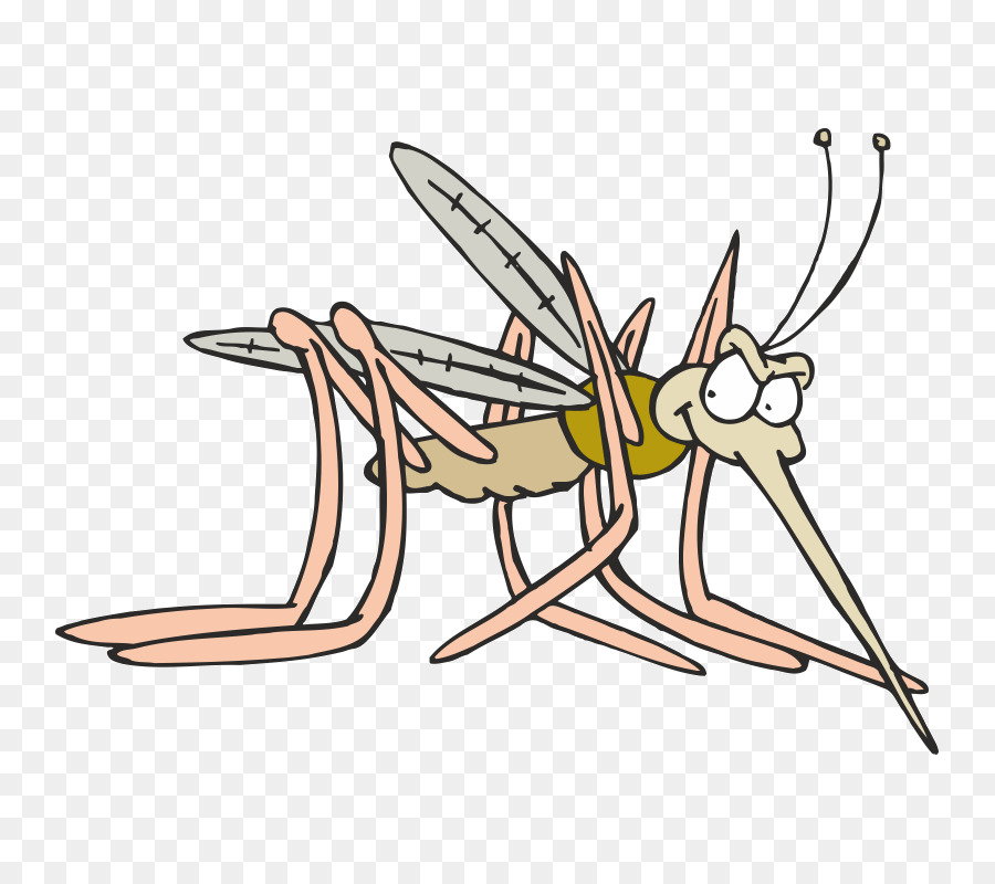 Gia muỗi Thuốc diệt Côn trùng Clip nghệ thuật - muỗi