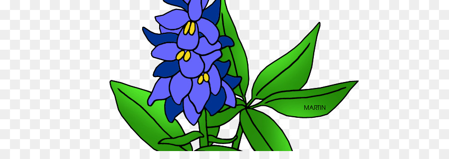 Texas Bluebonnet Lupinus texensis Clip-art - andere