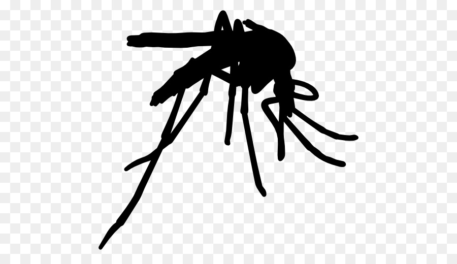Sốt vàng muỗi Côn trùng kiểm soát Muỗi Véc tơ - muỗi
