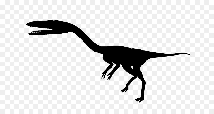 Velociraptor Silhouette, Nero, Bianco - silhouette