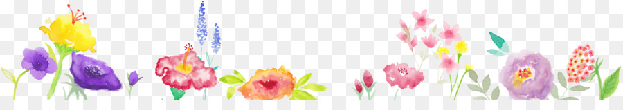 Header Blume, Blütenblatt Fußzeile - blume