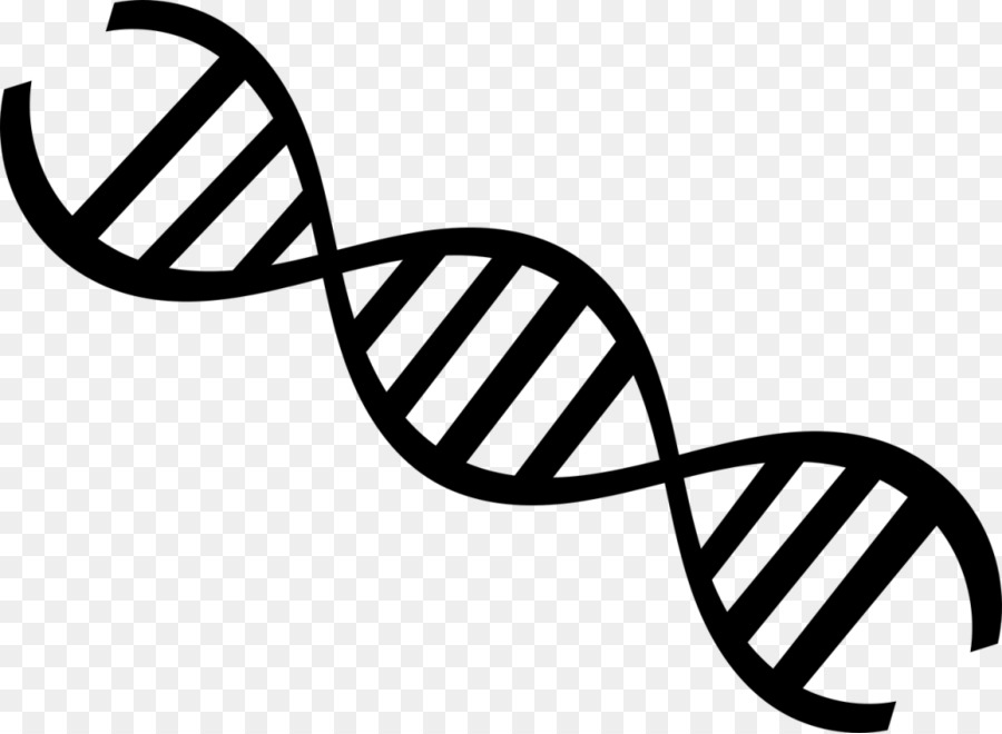 Y khoa học DNA - Khoa học