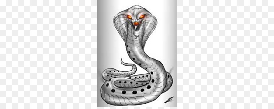 Con rắn hổ mang chúa Rắn Vẽ - con rắn png tải về - Miễn phí trong suốt Loài  Bò Sát png Tải về.